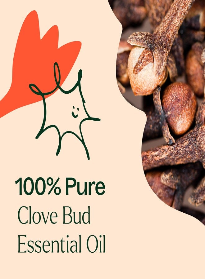 Plant Therapy Clove Bud Essential Oil 100% Pure, Undiluted, Natural Aromatherapy, Therapeutic Grade 30 ml (1 oz) - Image 5